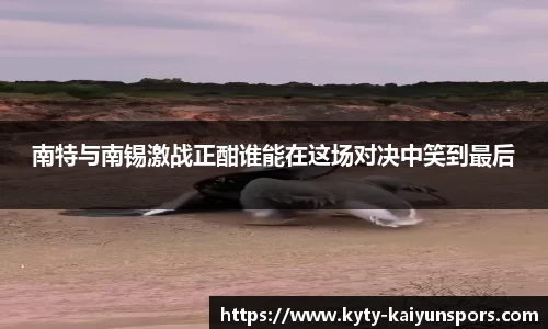 南特与南锡激战正酣谁能在这场对决中笑到最后